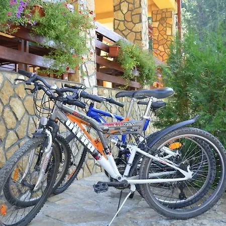 Gainusa De Munte Guest house