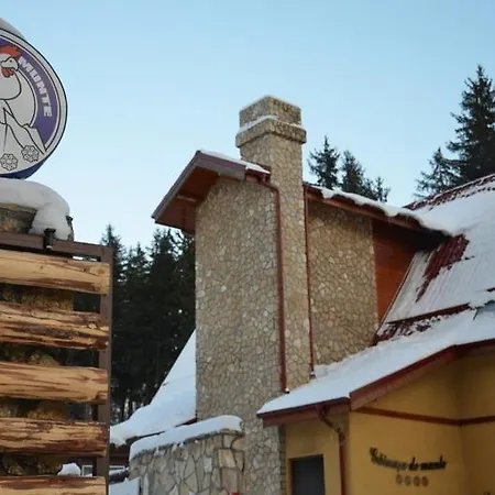 Gainusa De Munte Guest house 4*